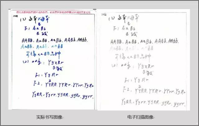 电脑阅卷用蓝笔写可以么