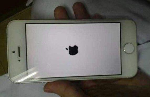 iphone卡在白苹果该咋解决？在线等