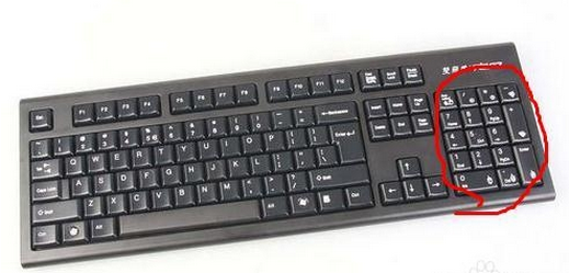 右边的小键盘按了没反应，横排的数字键有用的，numlock亮的，键盘新的。