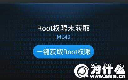 root是什么意思？