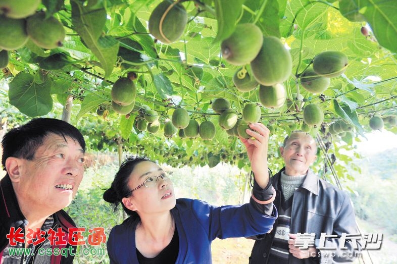 幫忙看看這個配置如何  七千九拿下的