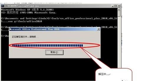 哪位大神知道win10係統下卸載office2010時提示安裝語言不受係統支持？(10)