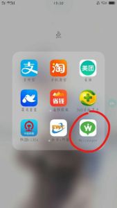 图中圈中的软件是否有人知道？(图1)