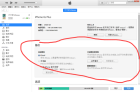 itunes連接上後沒有備份這個選項是什麼情況？？(圖1)