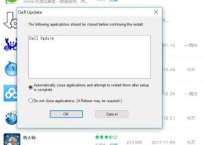 Dell update下麵兩個選項分別是什麼意思啊(圖1)