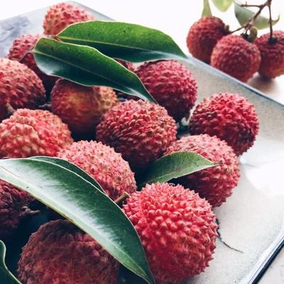 荔枝鉴声卡准吗？