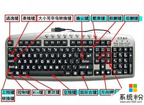 电脑键盘失灵(图1)