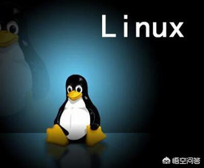 相比于Linux服务器，Windows服务器的优势在哪儿？(8)