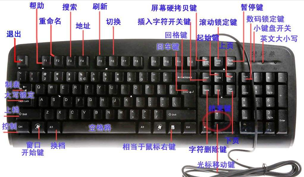 win10电脑，键盘只有Fn+F几的快捷键有用，别的键都没有用，打不了字。(图1)