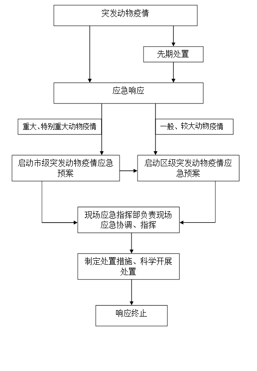 疫情二级响应和三级响应的区别(图1)