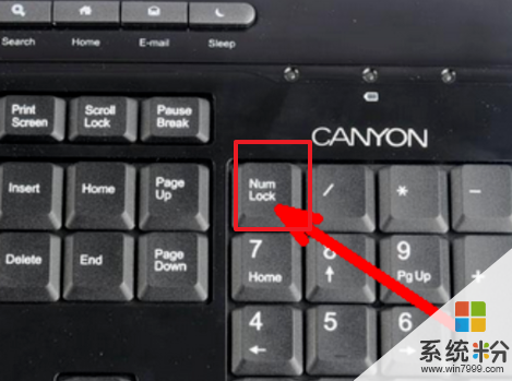 手提电脑怎么使用鼠标键，和开启，。手提电脑没有右边那块键盘。找不到NUMLOOK(图1)