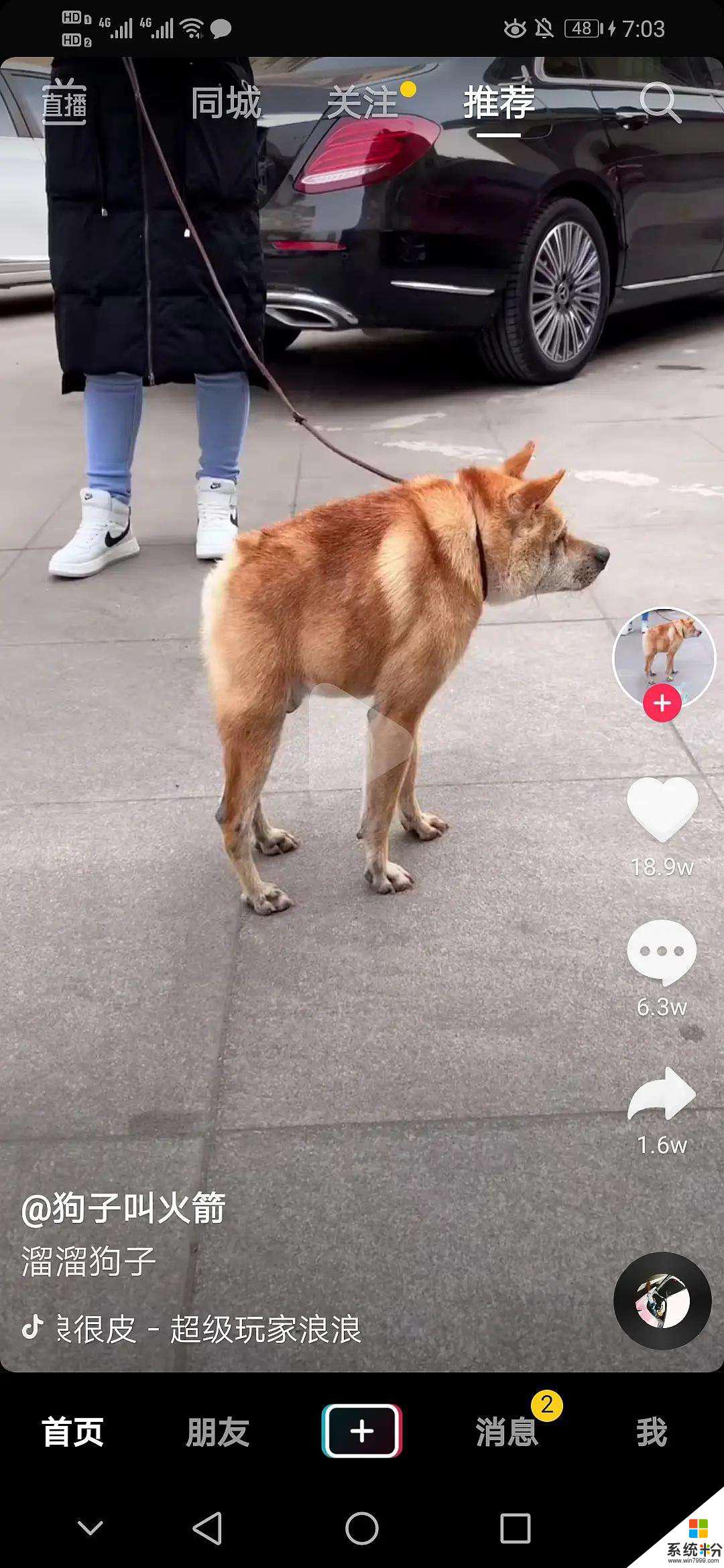 犬道抖音怎么没有了