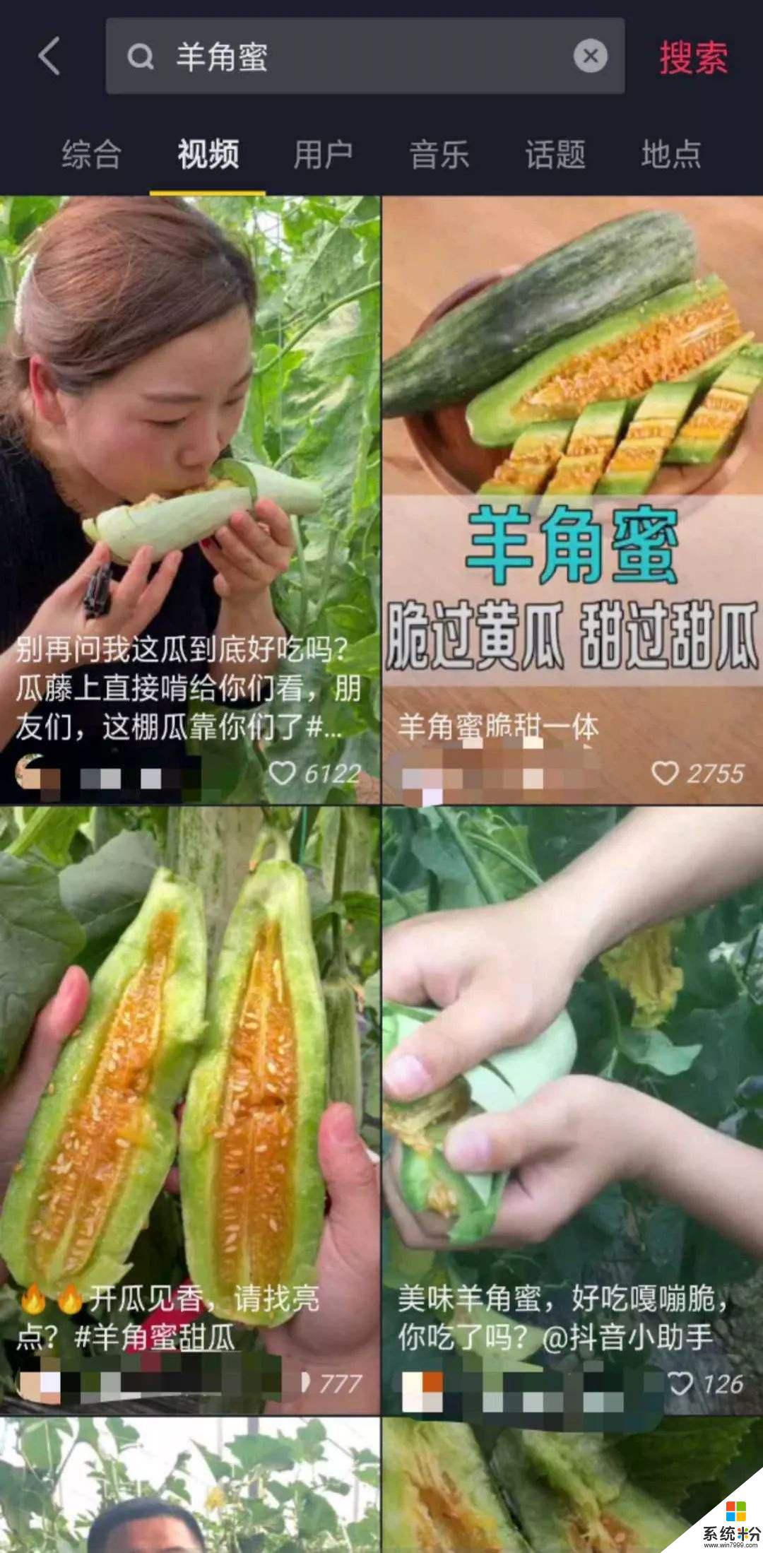 抖音哈密瓜是什麼梗