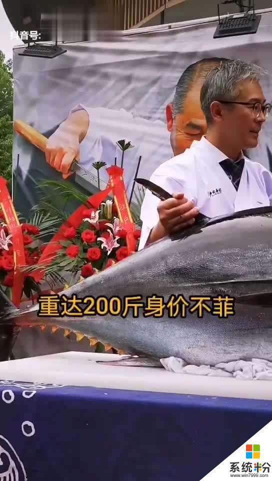 抖音高小廚送藍鰭金槍魚