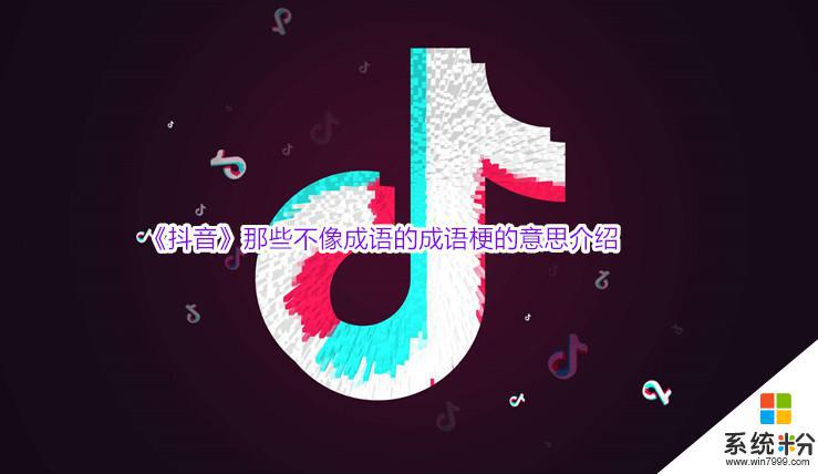 给我播放抖音这个成语